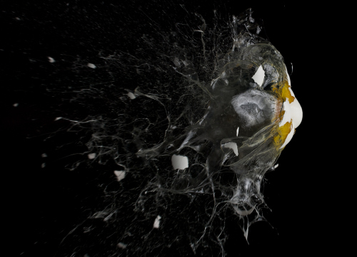 by Andrew Zuckerman-14