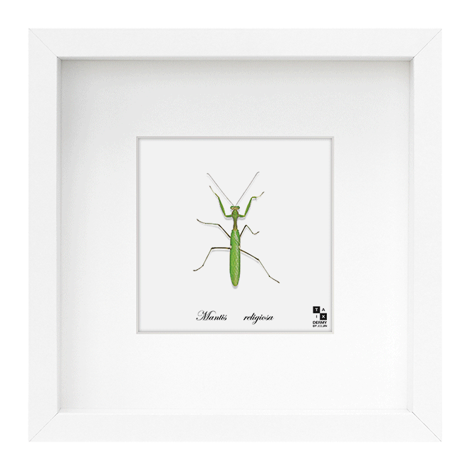 1346905054504823de07053-660x660-2