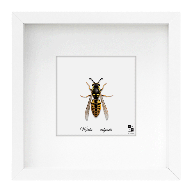 1346905054504823de07053-660x660