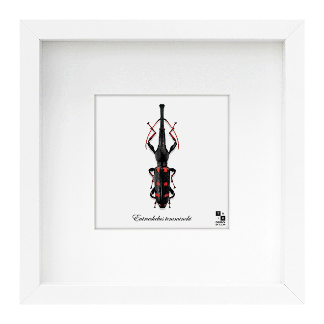 1346905070504823ee98da6-660x660