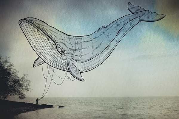 Oceanographies-03