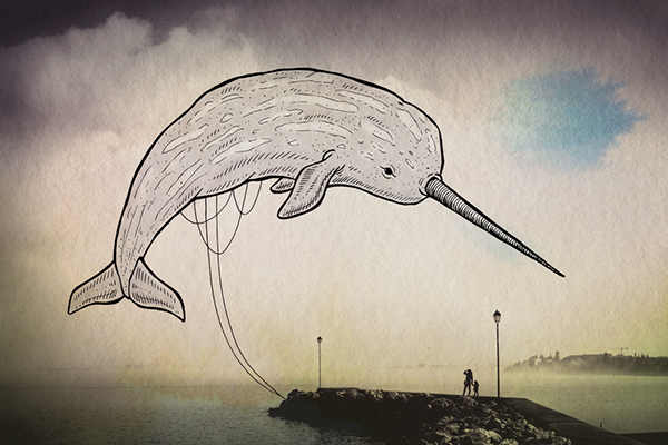 Oceanographies-08