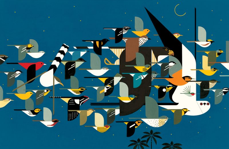 charley-harper_06_mystery-of-the-missing-migrants