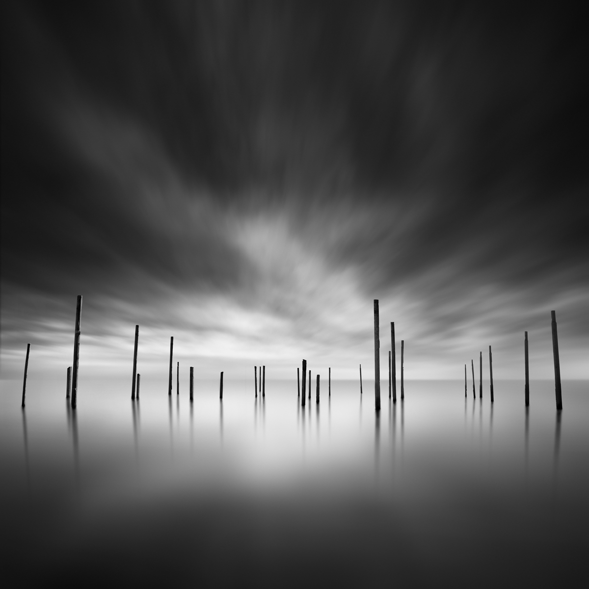 A forest of pillars @ George Digalakis