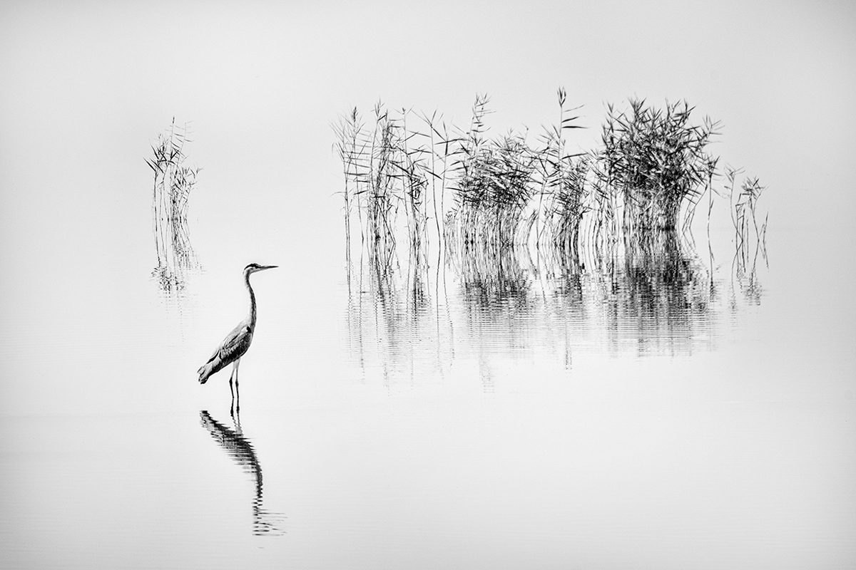 Lake Karla @ George Digalakis