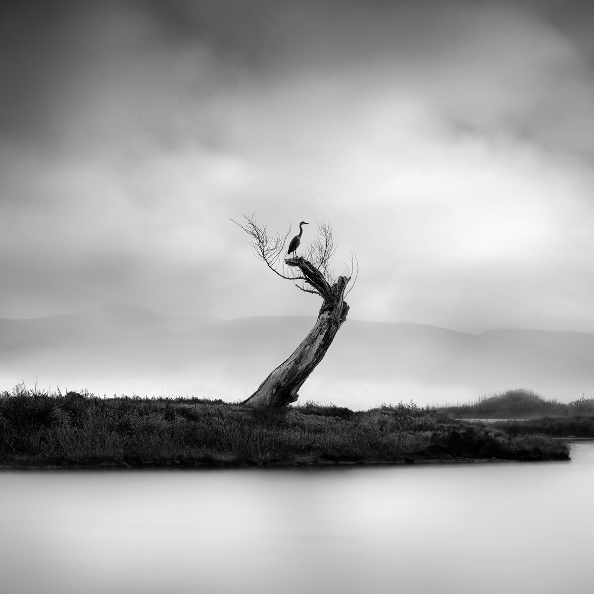 Loneliness @ George Digalakis