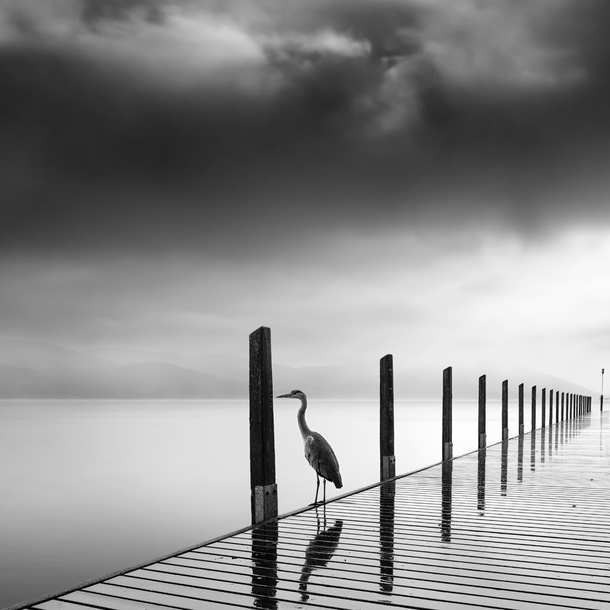 Rain Bird @ George Digalakis