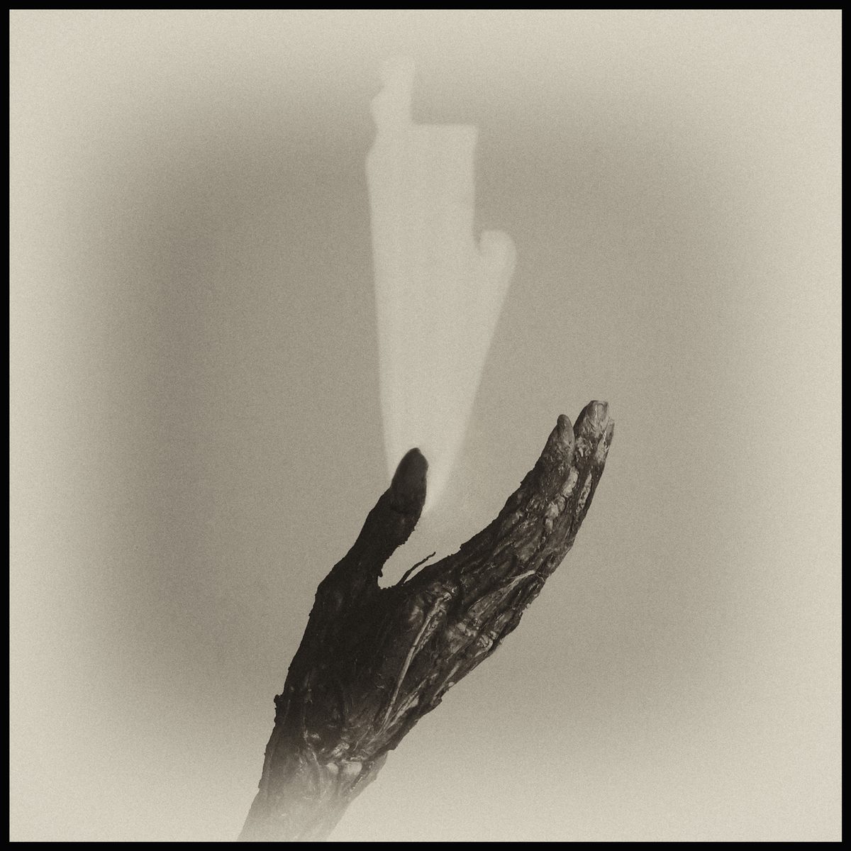 Dark hand reaching toward a white abstract form in a surreal photograph by Augusto De Luca