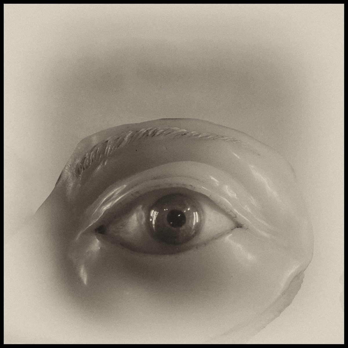 Close-up of a sculpted eye in a dreamlike monochrome composition by Augusto De Luca