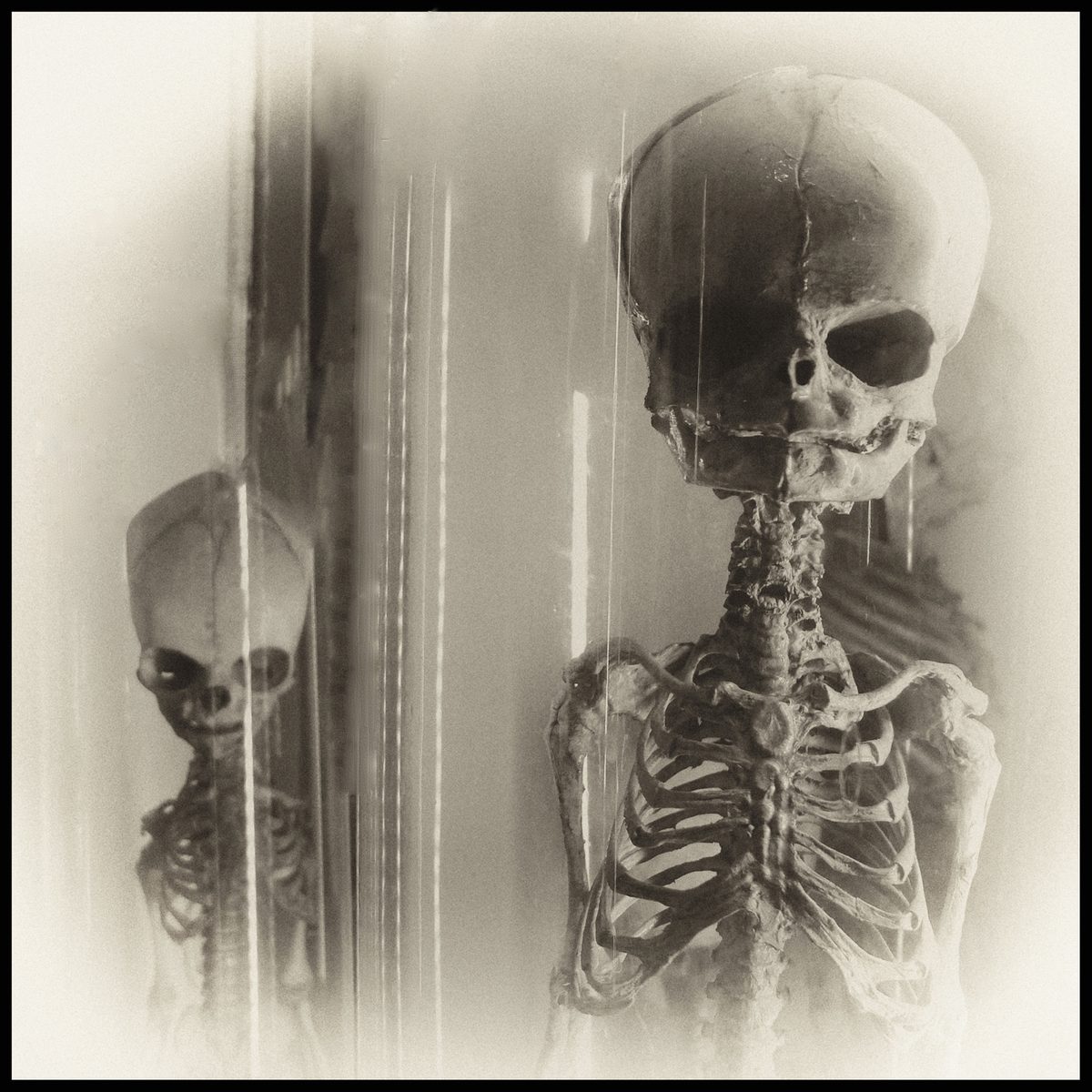 Human skeleton reflected beside a dark vertical surface in Armageddon by Augusto De Luca