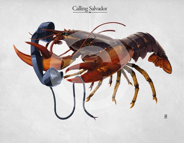 Calling Salvador © Rob Snow