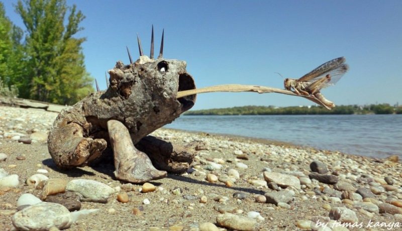 Land Art by Tamás Kánya